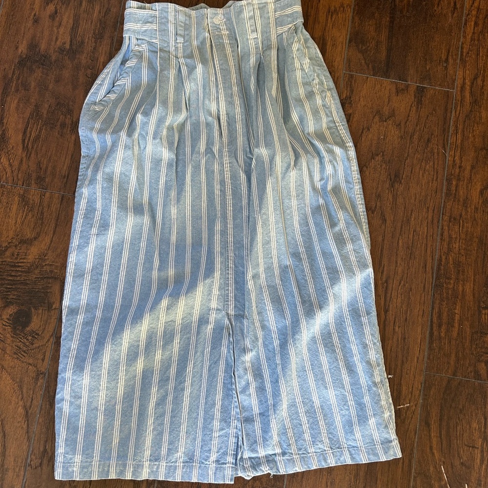 Pretty Blue and White A-Line Skirt